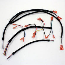 Load image into Gallery viewer, PS360+ / VOLTECH HARNESS COMBO PACK