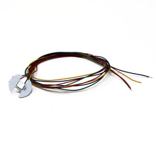 Load image into Gallery viewer, IL-lumination RGB 5VDC LED  Rev A