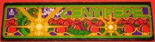 Load image into Gallery viewer, Centipede Marquee, Used